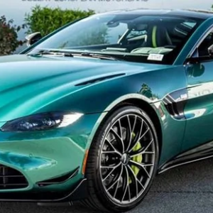 BW-796 Vanquish Green